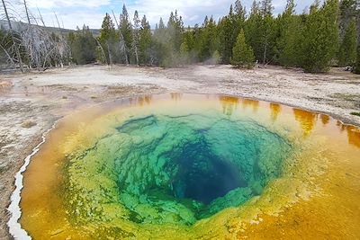 Morning Glory Pool - Parc national de Yellowstone - Wyoming - Etats-Unis