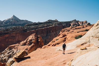 Capitol reef national park