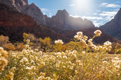 Zion National Park