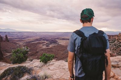 Homme regardant le Canyonlands National Park