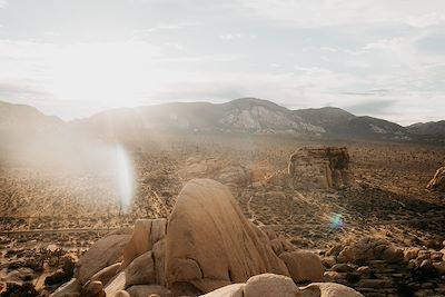 Parc national de Joshua Tree - Californie - Etats-Unis