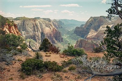 Zion Canyon