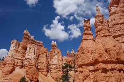 Parc national de Bryce Canyon - Etats-Unis