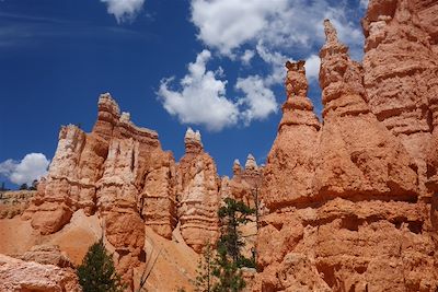 Parc national de Bryce Canyon - Etats-Unis