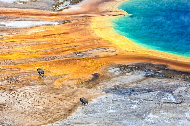 Voyage Yellowstone et canyons du Far West