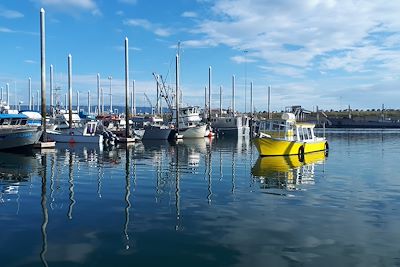 Marina Homer - Alaska - Etats-Unis