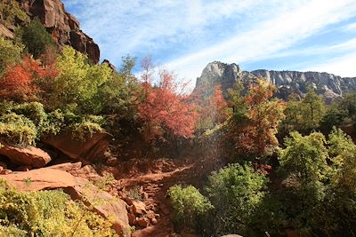 Zion National Park - Utah - Etats-Unis