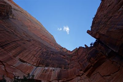 Le parc national de Zion - Etats-Unis