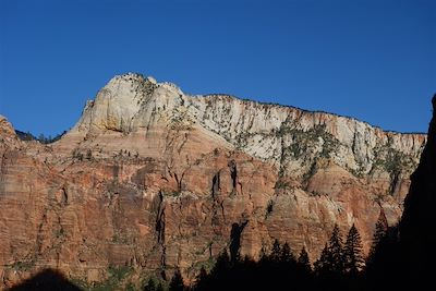 Le parc national de Zion - Etats-Unis