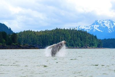 Voyage Alaska