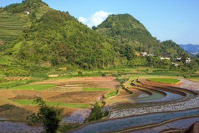 Bac Ha - Vietnam