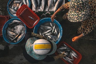 Marché au poisson près de Hoi An - Vietnam