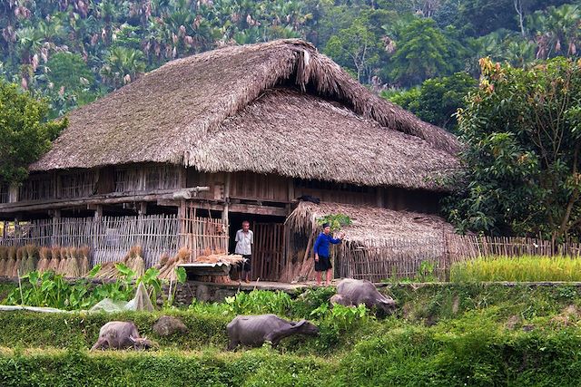 Voyage Ethnies, rizières et baie d'Halong