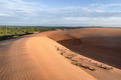 Panduranga - Dune - Vietnam