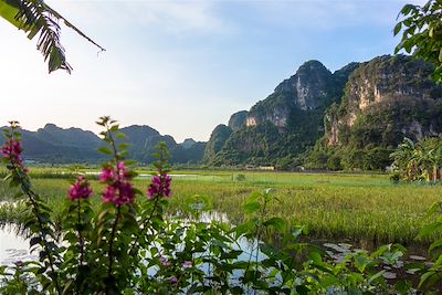 Baie d'Along terrestre - Vietnam