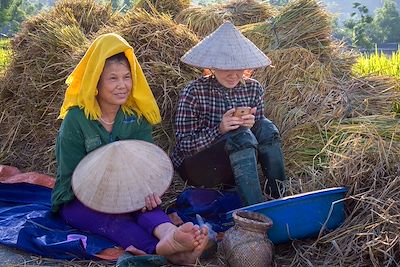 Nghia Lo - Vietnam