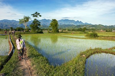 Nghia Lo - Vietnam