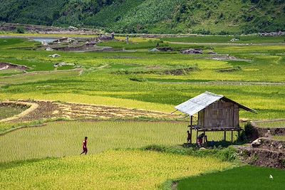 Mu Cang Chai - Vietnam