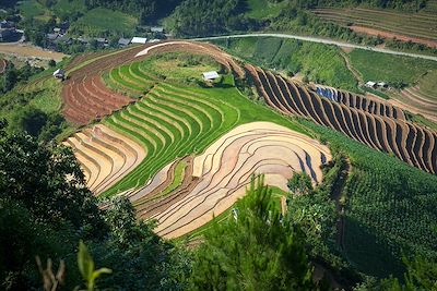 Mu Cang Chai - Vietnam