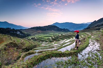 Trek Hanoi et la Baie d'Halong