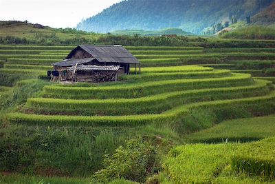 Bac Ha - Sapa - Vietnam