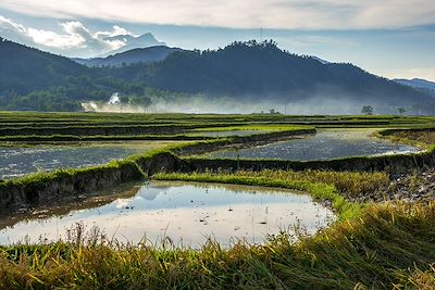 Nghia Lo - Vietnam