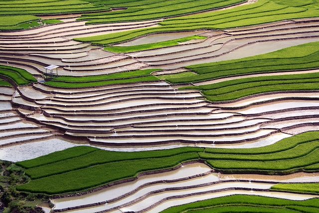 Voyage L'intégrale du Vietnam en famille