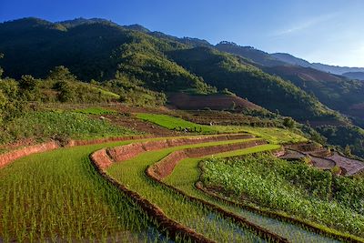 Mu Cang Chai - Vietnam