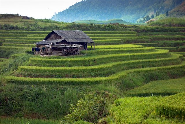 Voyage Périple en Indochine