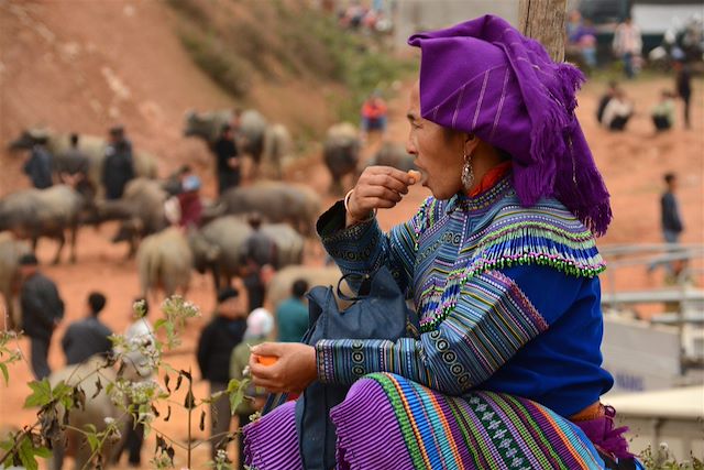 Voyage Périple en Indochine