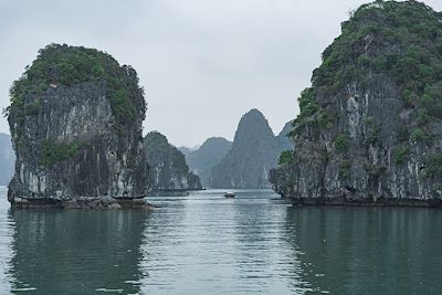 Baie d'Halong et Cat Ba - Vietnam