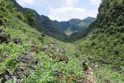 Thong Nong - Vietnam 