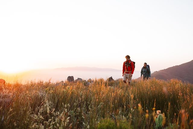 Voyage En piste pour les grands espaces d'Afrique du Sud