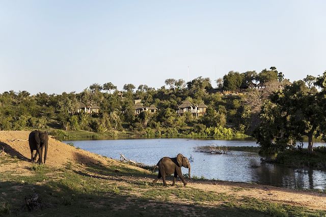 Voyage Safari à pied, vignoble et océan, du Kruger au Cap