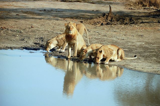 Voyage Du Lesotho au Kruger, l’autre Afrique du Sud