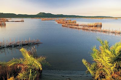 Kosi Forest lodge - Réserve naturelle Kosi Bay