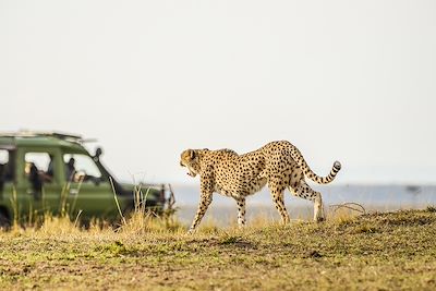 Safari Parc Kruger