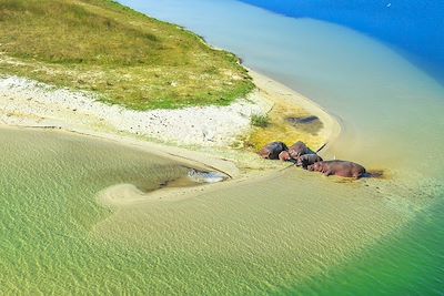 Hippopotame - Parc de la zone humide d'iSimangaliso - Afrique du Sud