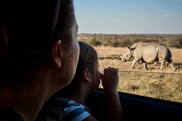 Voyage Safari en famille au pays des Big Five