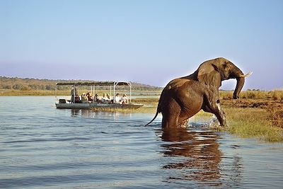 Chobe safari lodge - Parc national de Chobe