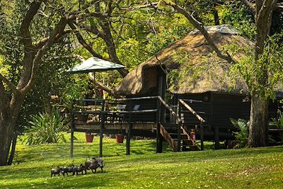 Kubu Lodge - Kasane - Botswana