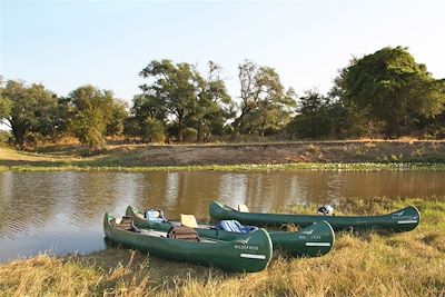 Parc national de Mana Pools - Province du Mashonaland Ouest - Zimbabwe