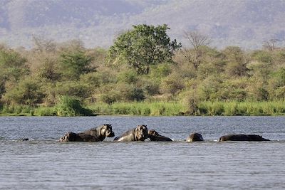 Ruckomechi Camp - Parc de Mana Pools - Zimbabwe