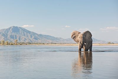 Parc national de Mana Pools - Zimbabwe