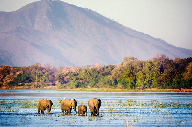 Voyage Au fil du Zambèze, safari en canoë, Mana Pools