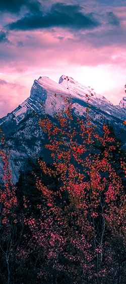 Photo de Neil Rosenstech -  Unsplash - Banff, Canada