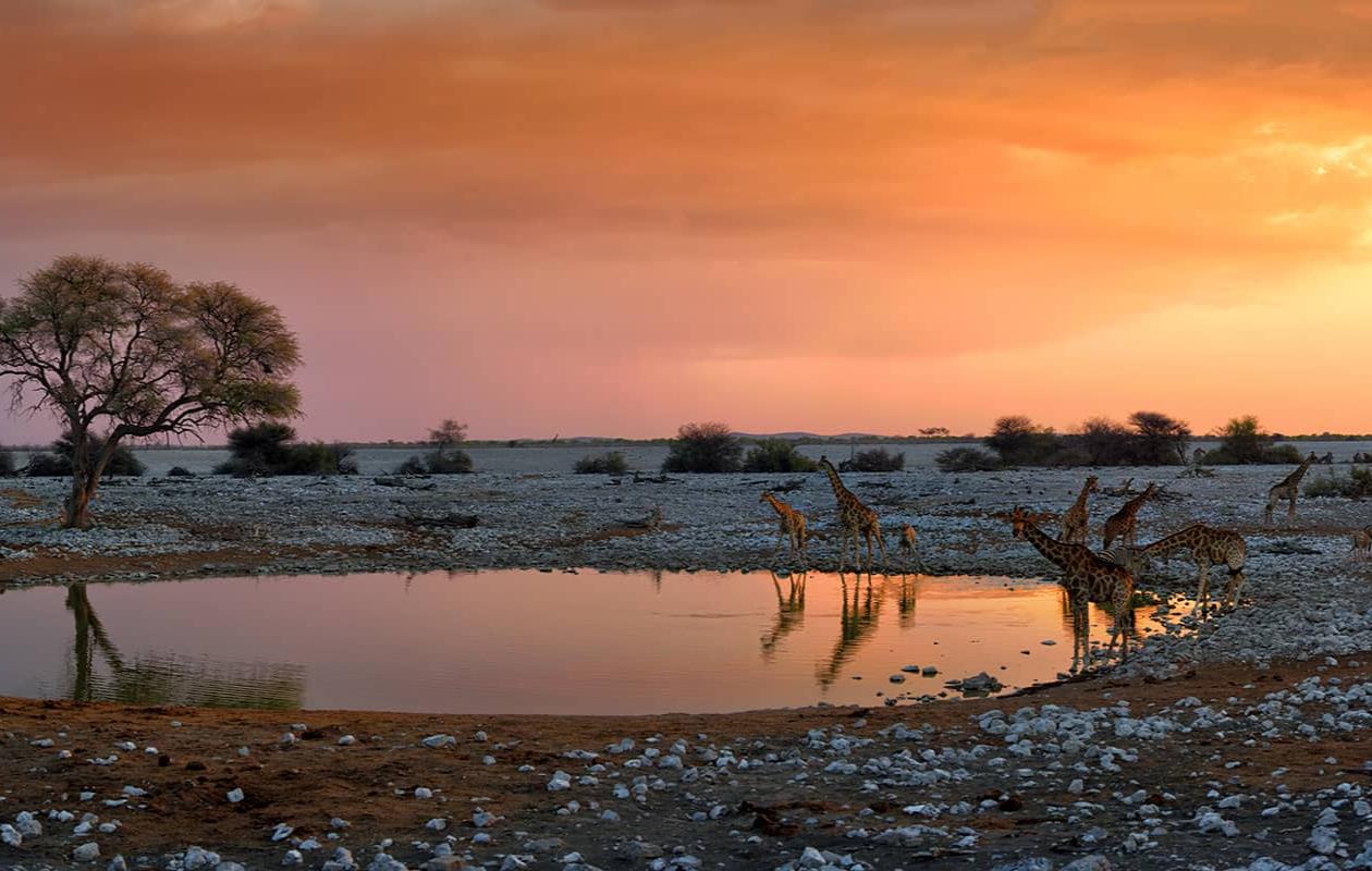 Les plus beaux paysages de la Namibie