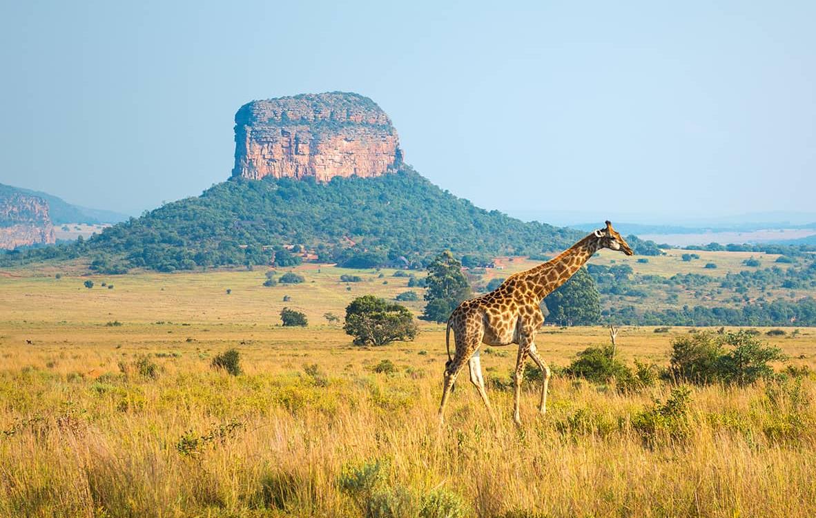 Les plus beaux paysages d'Afrique du Sud