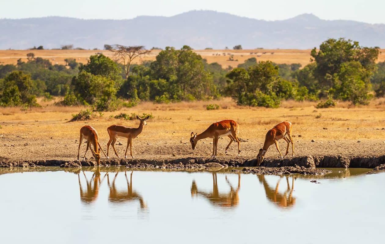 Les plus beaux paysages du Kenya