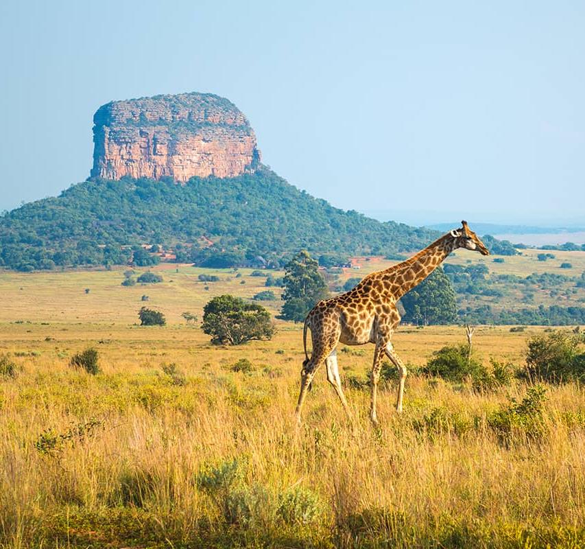 Les plus beaux paysages d'Afrique du Sud